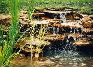 водоем не только украшение