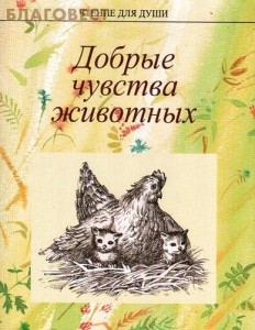 расскажи мне о животных