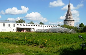 подмосковье