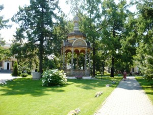 подмосковье